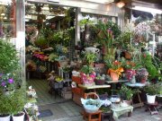 「花くめ」　（千葉県市川市）の花屋店舗写真1