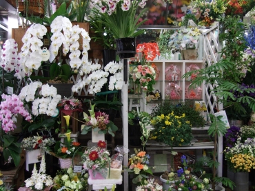 「花くめ」　（千葉県市川市）の花屋店舗写真2