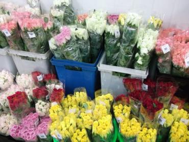 シンガポールへ行ってきました。パートⅠ｜「花くめ」　（千葉県市川市の花キューピット加盟店 花屋）のブログ